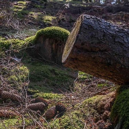 Maerchenhafte Fewo White Auf Dem Berg Im Sauerland Werdohl Экстерьер фото