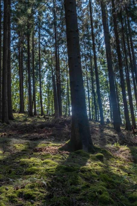 Maerchenhafte Fewo White Auf Dem Berg Im Sauerland Werdohl Экстерьер фото
