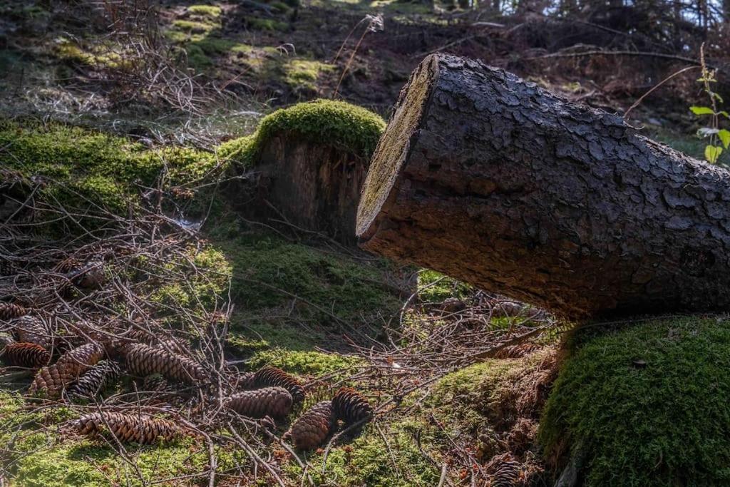 Maerchenhafte Fewo White Auf Dem Berg Im Sauerland Werdohl Экстерьер фото
